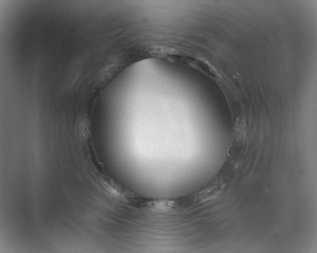 X0000072920474200608041155