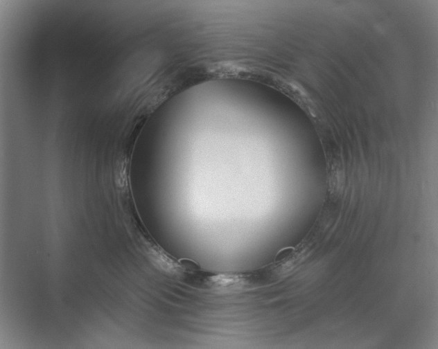 X0000072920477200608041155
