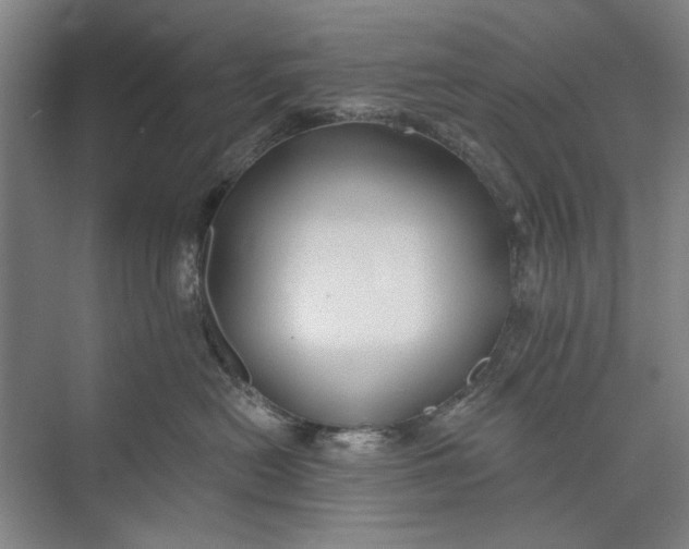 X0000072920478200608041155