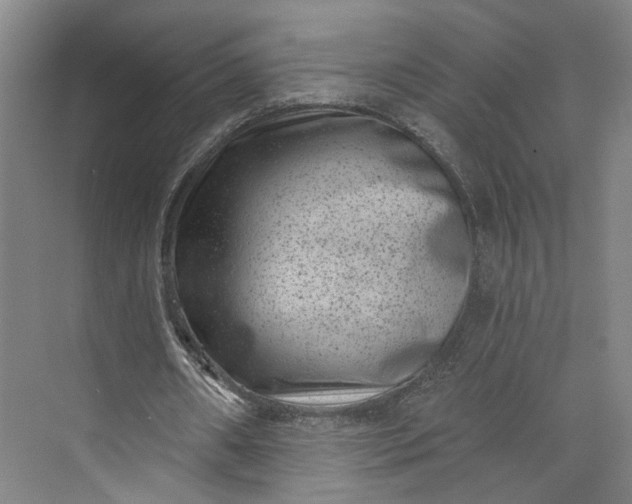 X0000072920482200608041154