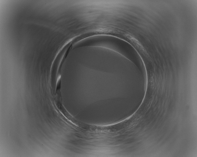 X0000072920484200608041154