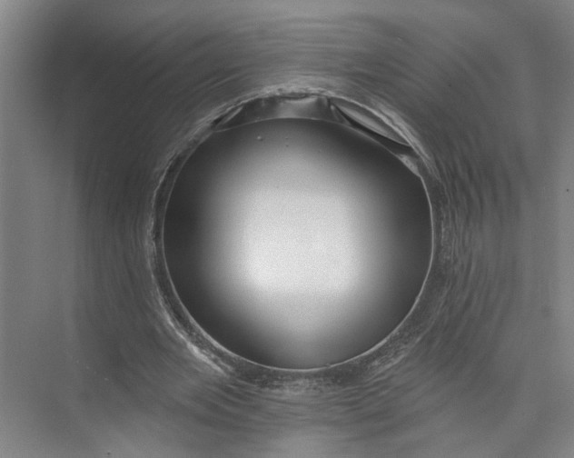 X0000072920485200608041154