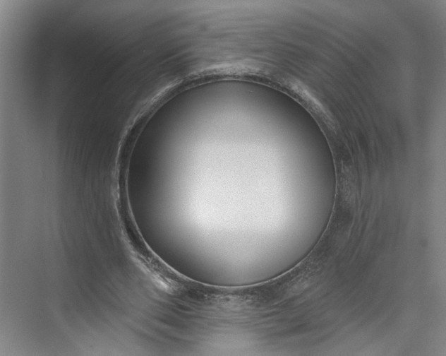 X0000072920486200608041154