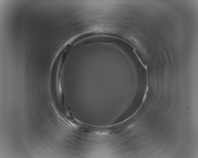 X0000072920488200608041154