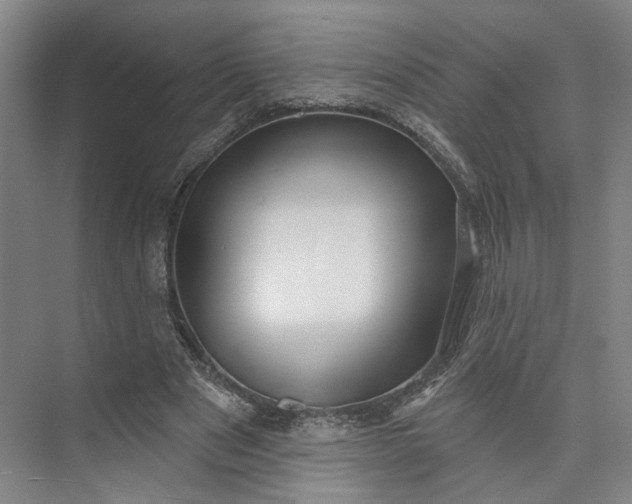 X0000072920489200608041154