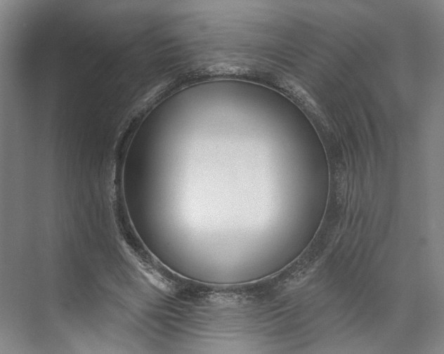 X0000072920490200608041154