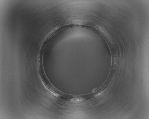 X0000072920492200608041154