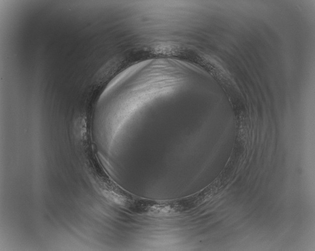 X0000072920502200608041154
