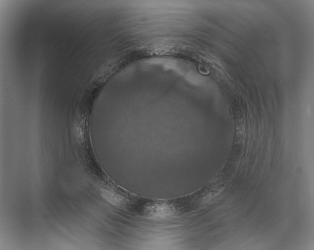 X0000072920503200608041154