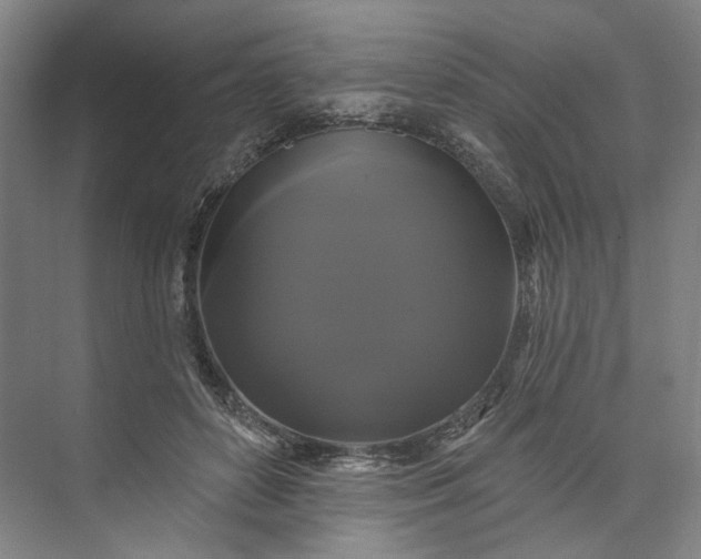 X0000072920504200608041153