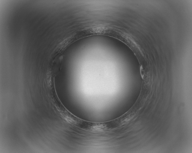 X0000072920505200608041153