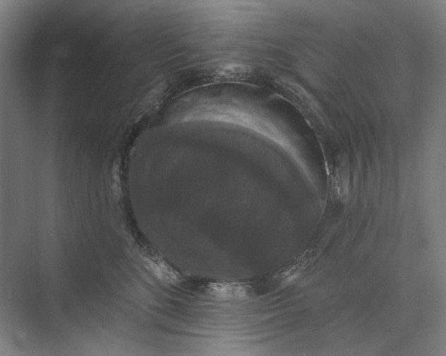X0000072920520200608041153