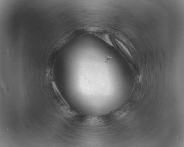 X0000072920521200608041153