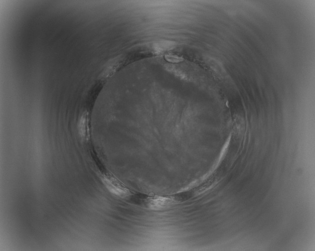X0000072920527200608041153