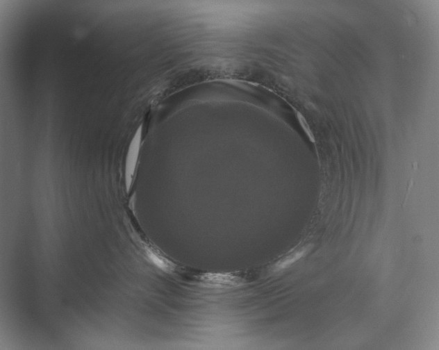 X0000072920528200608041153