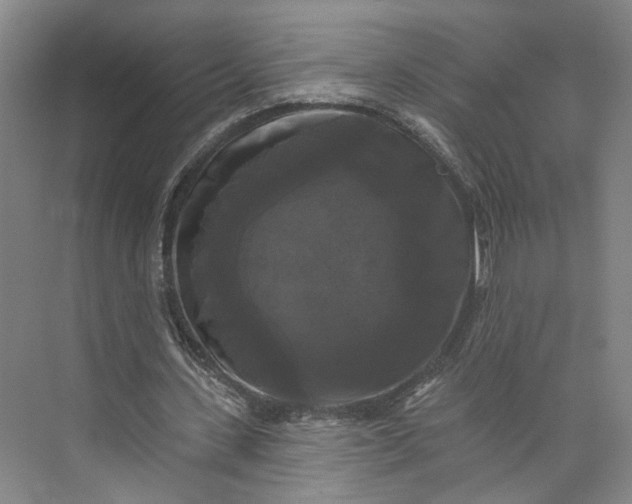 X0000072920531200608041152