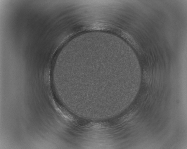 X0000072920534200608041152