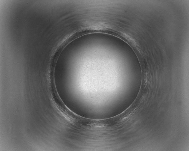 X0000072920535200608041152