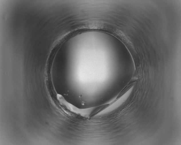 X0000072920536200608041152