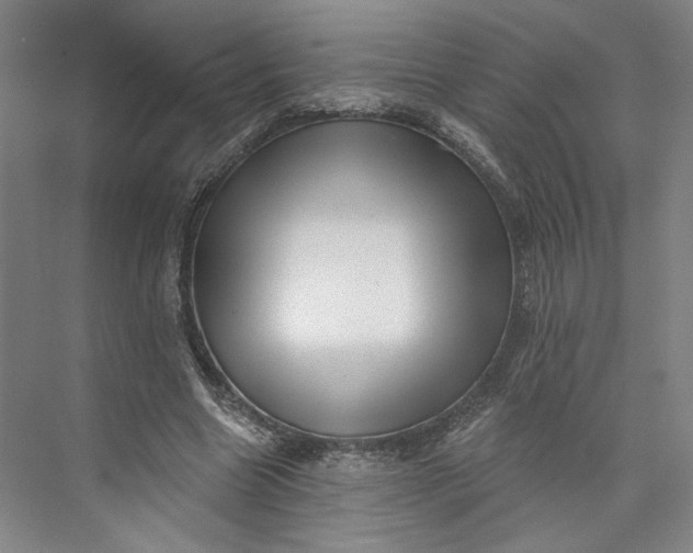X0000072920538200608041152