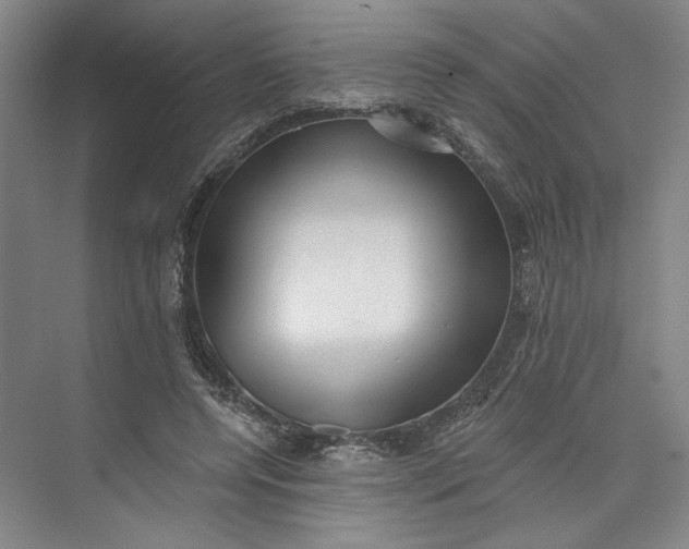 X0000072920544200608041153
