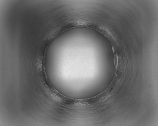 X0000072920545200608041153