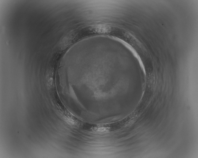 X0000072920553200608041153