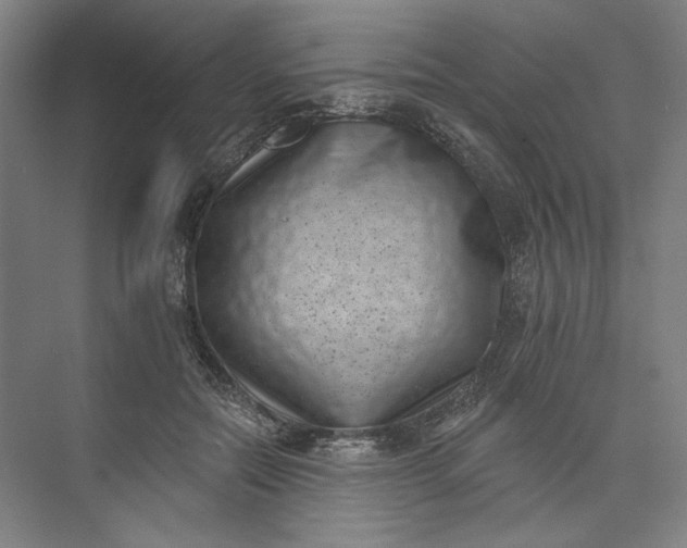X0000072920554200608041153