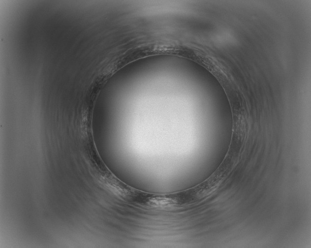 X0000072920557200608041153