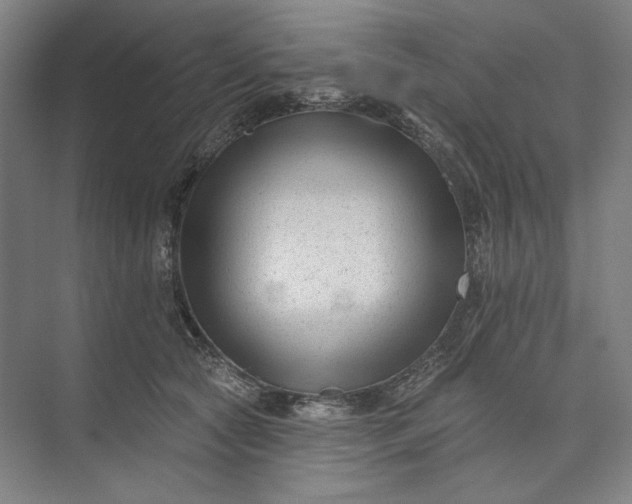 X0000072920561200608041153