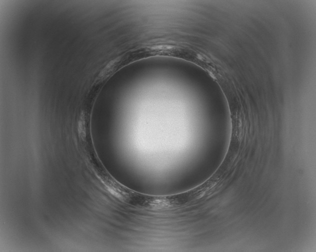 X0000072920562200608041153
