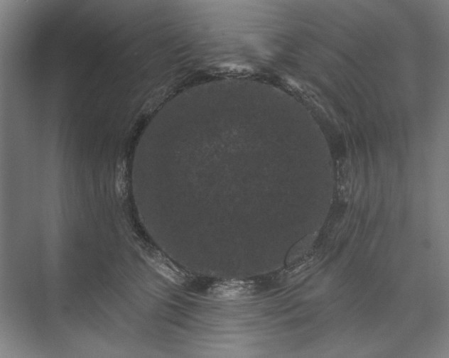 X0000072920563200608041153
