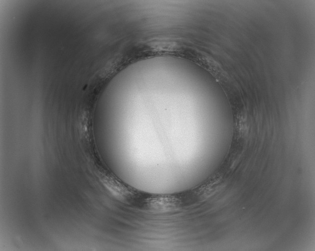 X0000072920567200608041153