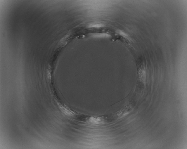 X0000072920570200608041153