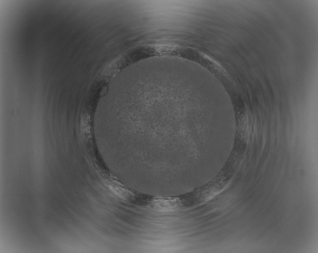 X0000072920571200608041153
