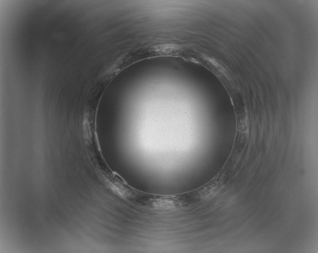 X0000072920572200608041153