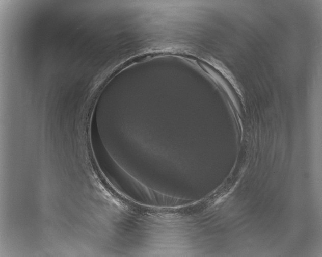 X0000072920577200608041152
