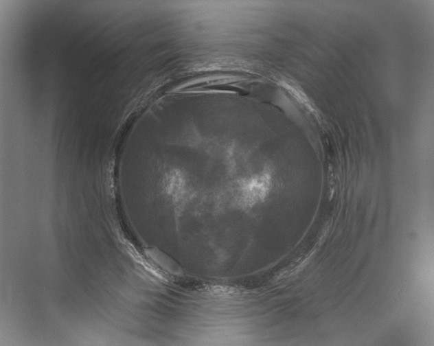 X0000072920585200608041152