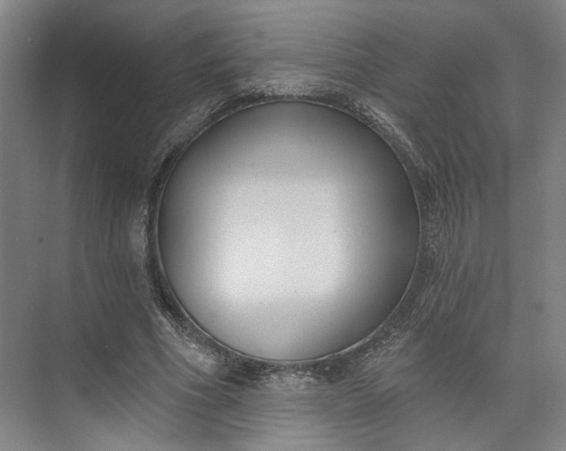 X0000072920586200608041152
