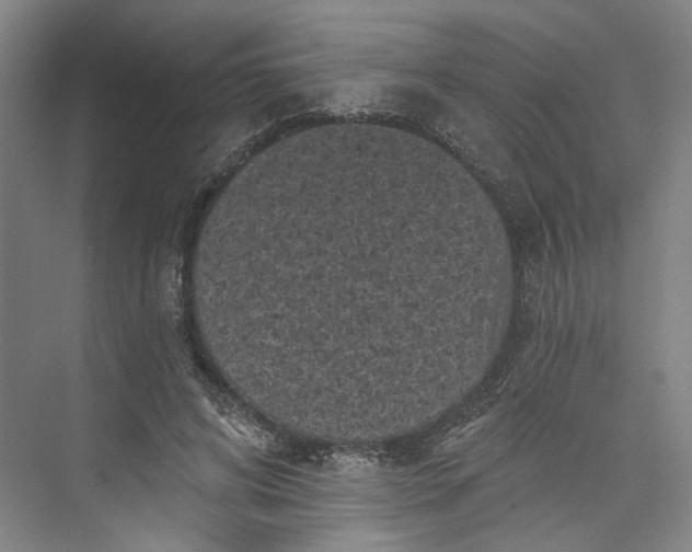 X0000072920592200608041152