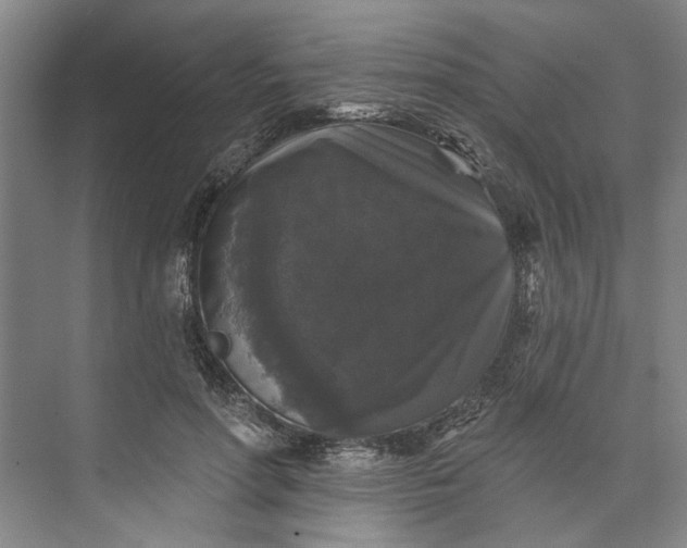 X0000072920598200608041152