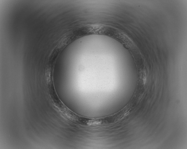 X0000072920602200608041152