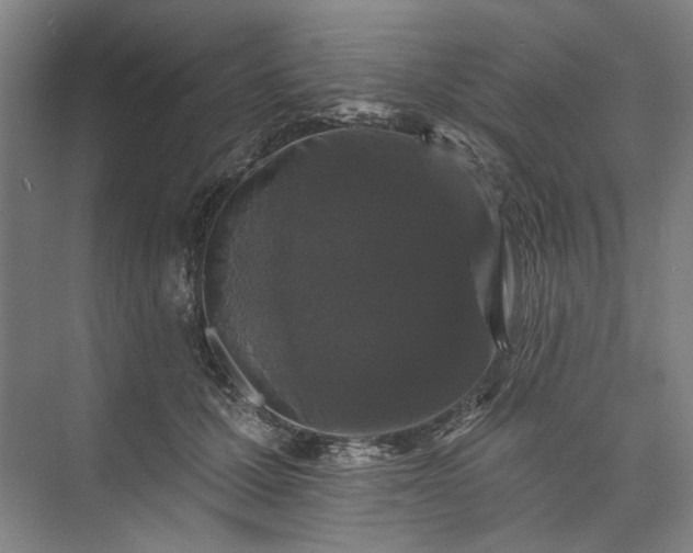 X0000072920607200608041152