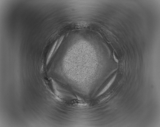 X0000072920608200608041152