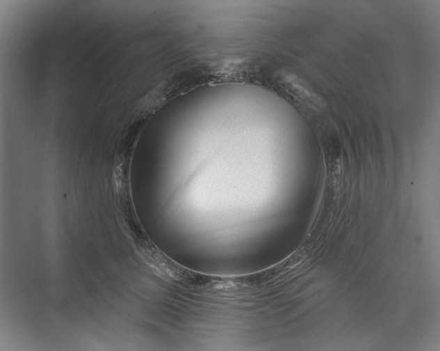 X0000072920611200608041152