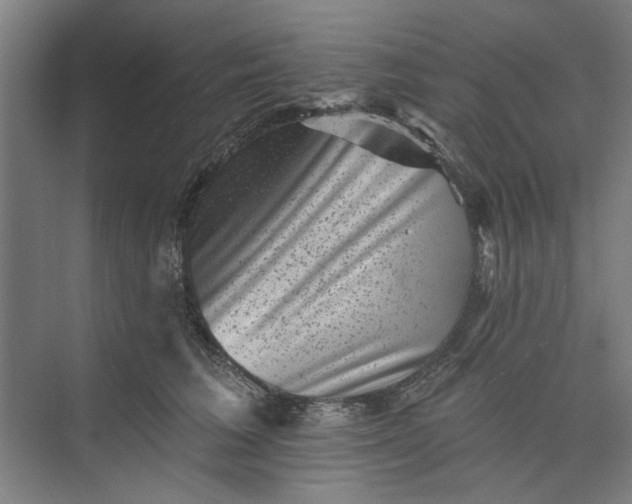 X0000072920613200608041152