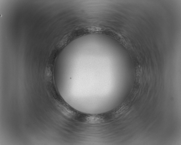 X0000072920614200608041152