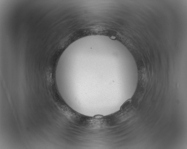 X0000072920615200608041152