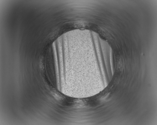 X0000072920616200608041152