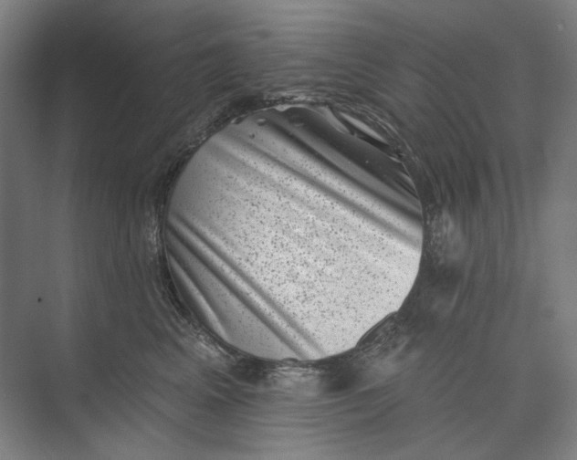 X0000072920617200608041152